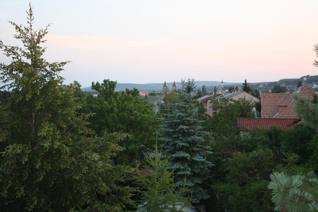Barcza Vendeghaz Ξενοδοχείο Balatonfüred Εξωτερικό φωτογραφία