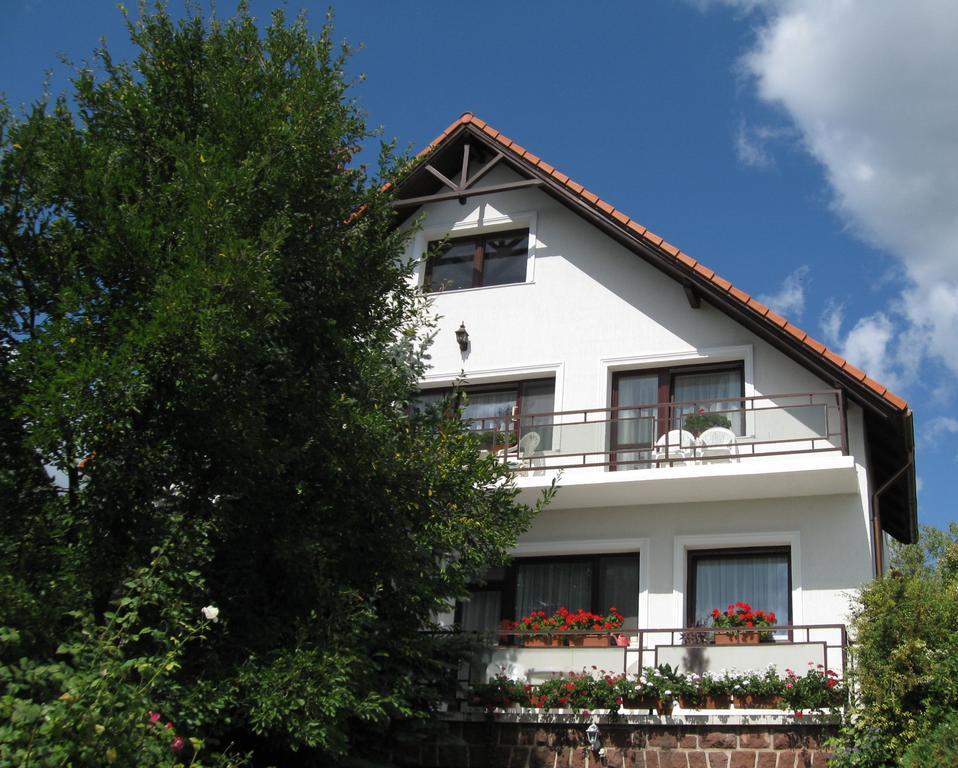 Barcza Vendeghaz Ξενοδοχείο Balatonfüred Εξωτερικό φωτογραφία